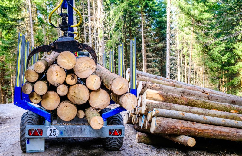 Revitalize Your Land with Efficient Land Clearing Services in Hayden, ID.