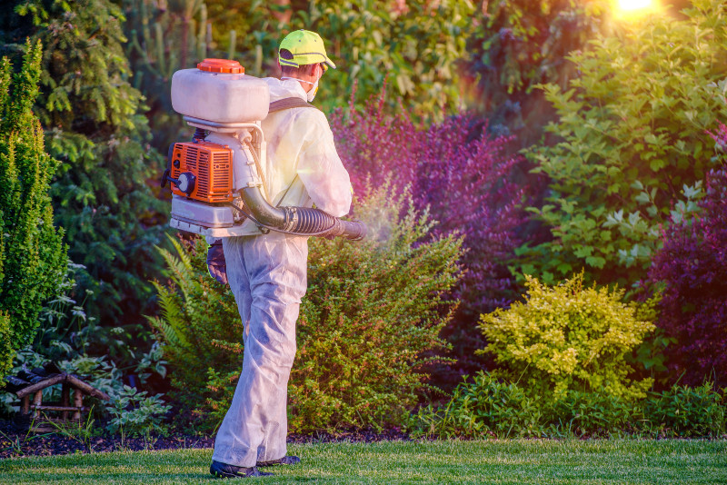 Why Is Lawn Fertilization in Louisville, KY, Important?