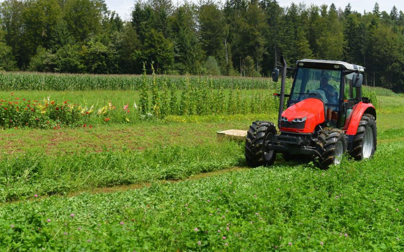 Food Security Is Your Business: Agricultural Entrepreneurship in Kiowa, CO