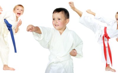 People Get benefits From Premier Martial Arts Schools