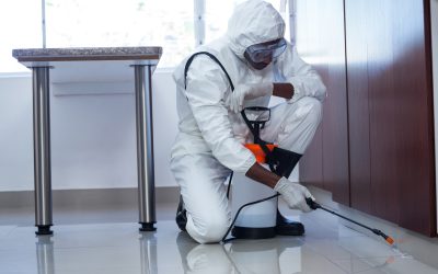 When to Call an Exterminator in Newnan, GA